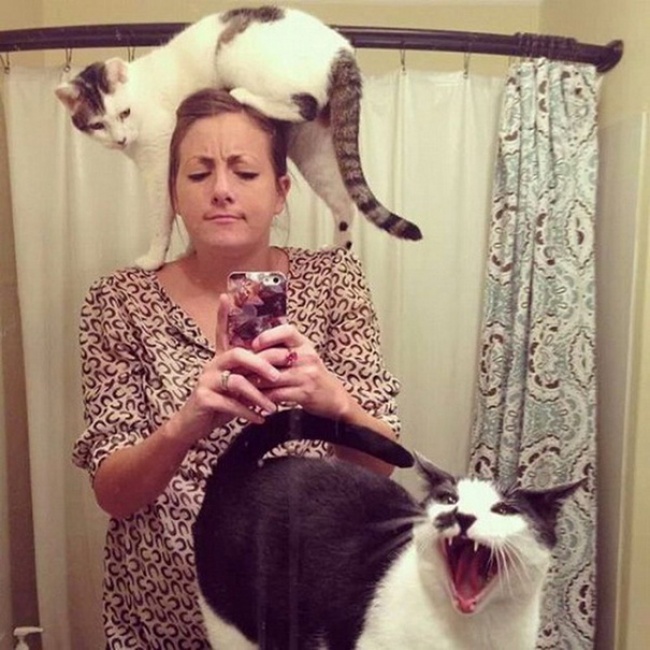 50-cats-who-don-t-know-the-meaning-of-personal-space-01
