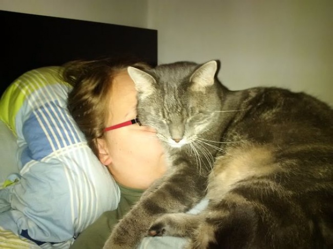 50-cats-who-don-t-know-the-meaning-of-personal-space-05