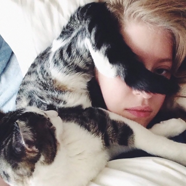 50-cats-who-don-t-know-the-meaning-of-personal-space-06