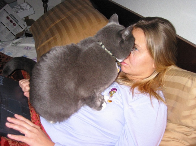 50-cats-who-don-t-know-the-meaning-of-personal-space-10