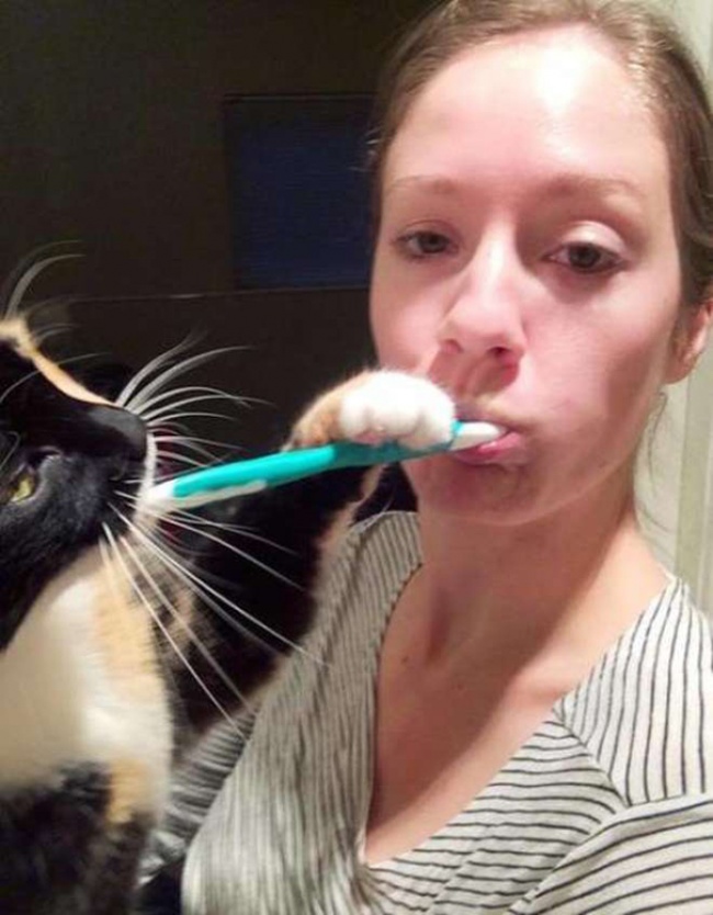 50-cats-who-don-t-know-the-meaning-of-personal-space-16