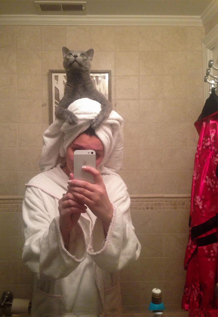 50-cats-who-don-t-know-the-meaning-of-personal-space-28