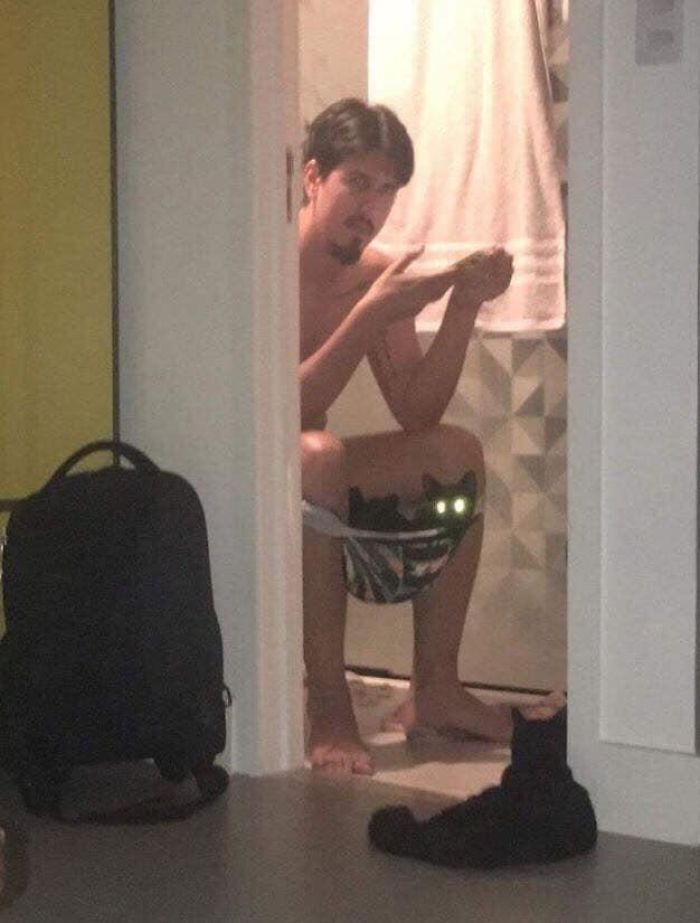 50-cats-who-don-t-know-the-meaning-of-personal-space-44