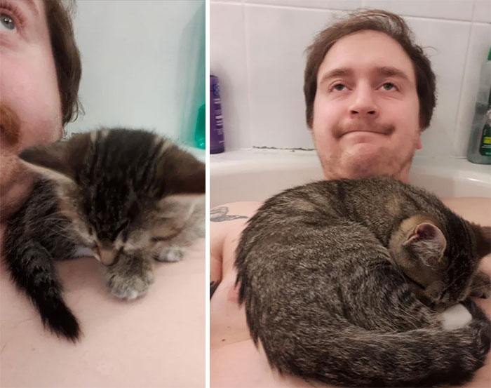 50-cats-who-don-t-know-the-meaning-of-personal-space-55
