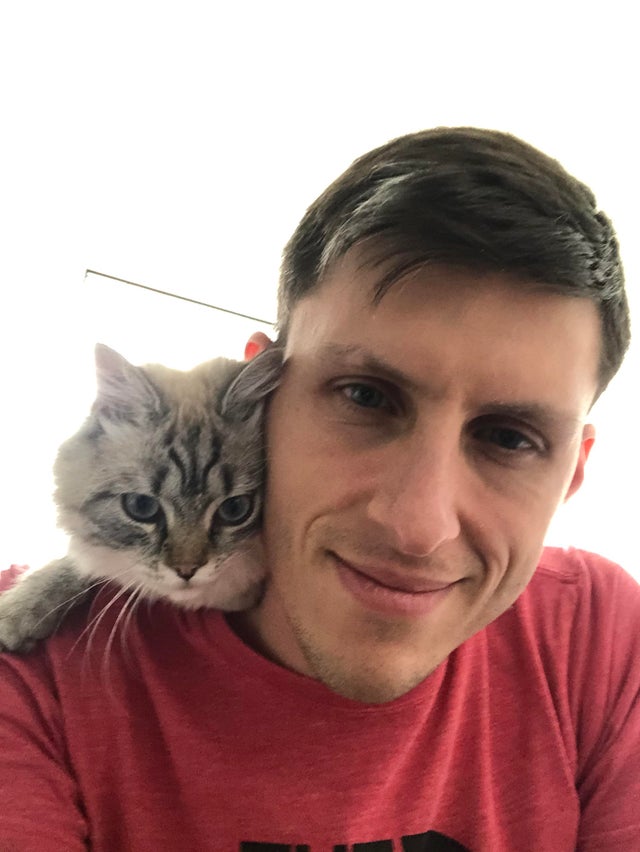 50-cats-who-don-t-know-the-meaning-of-personal-space-58