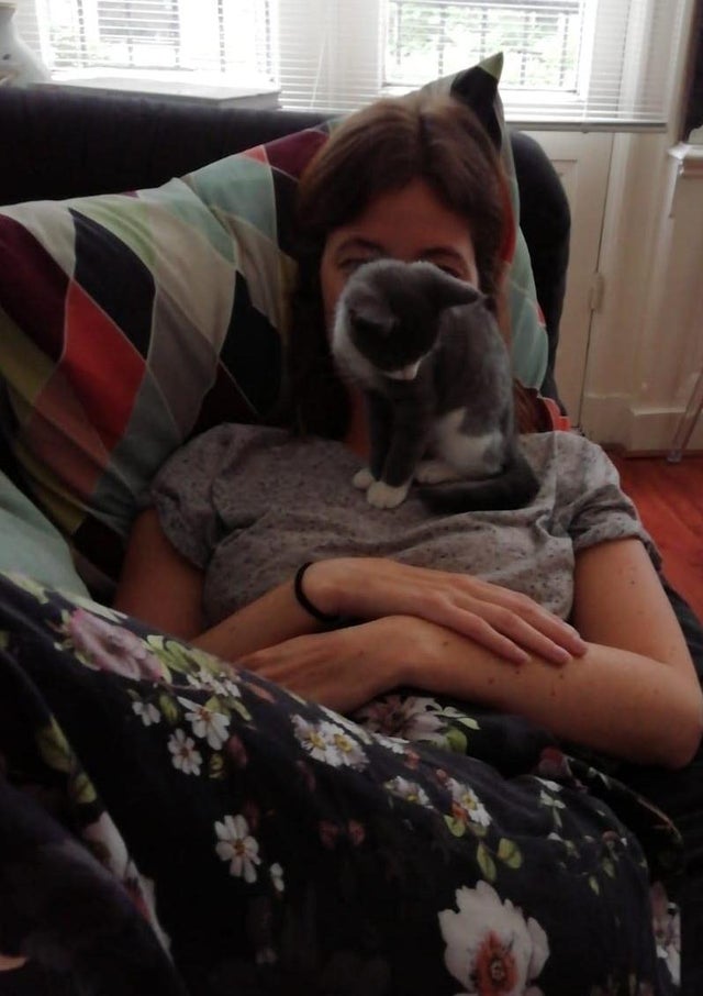 50-cats-who-don-t-know-the-meaning-of-personal-space-64