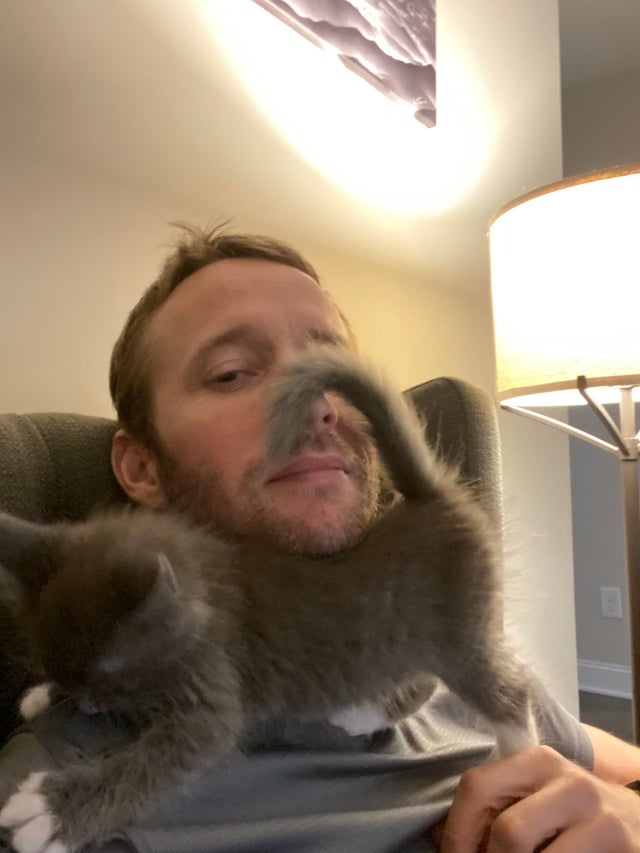 50-cats-who-don-t-know-the-meaning-of-personal-space-68