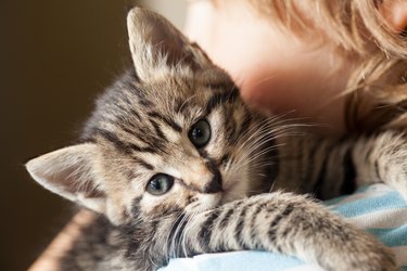 Коте и дете