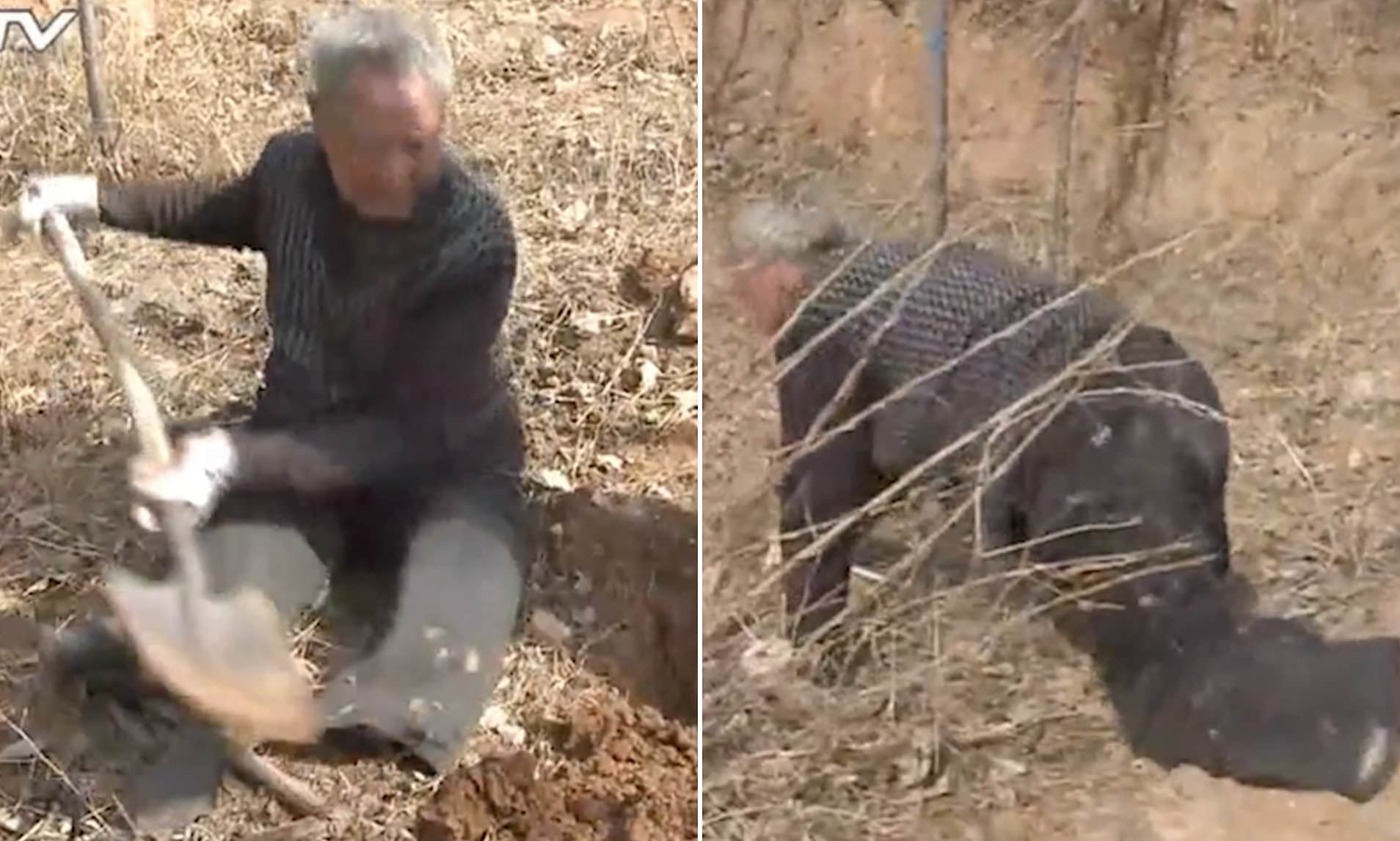 Legless veteran, 70, has planted 17,000 trees in 19 years using a spade and  a hoe | Daily Mail Online