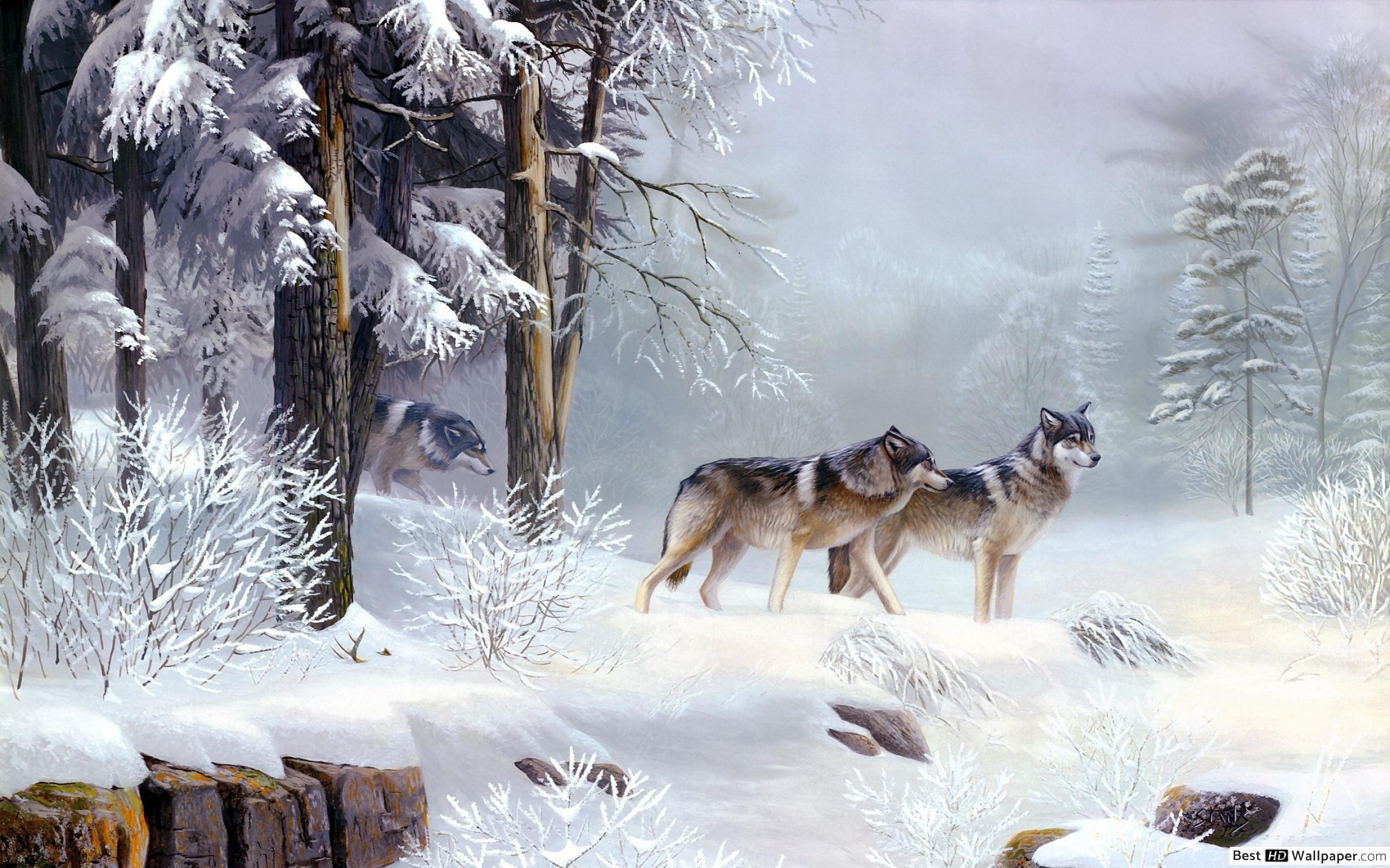 Wolves In Winter Forest - 2560x1600 Wallpaper - teahub.io