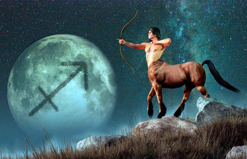 Sagittarius Animal Sign and Meaning in Astrology | LoveToKnow