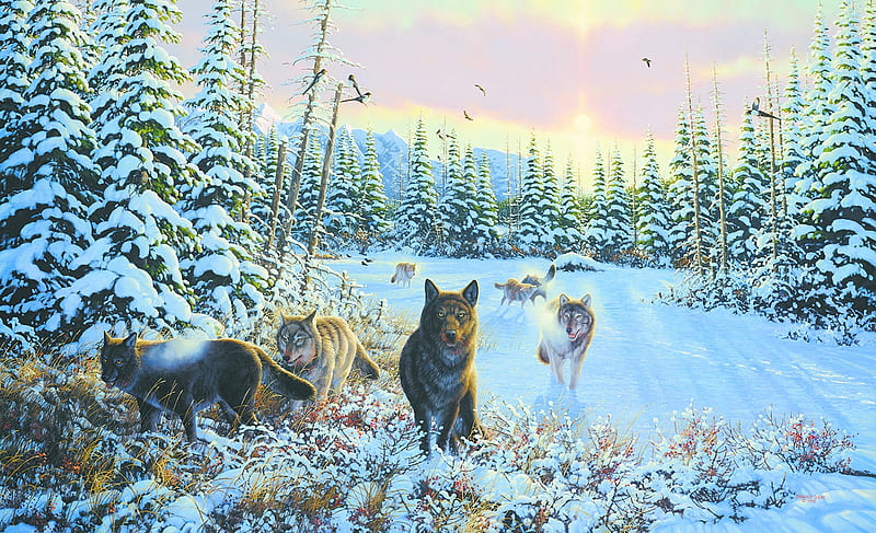 Wolves, art, michael sieve, painting, lup, wolf, pictura, winter, iarna, HD wallpaper | Peakpx