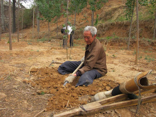 Planting trees gives soldier roots for life - China.org.cn