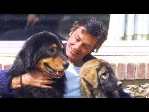 ALAIN DELON & His Dogs 🐶🐕🦮🐕🦺🐩 - YouTube
